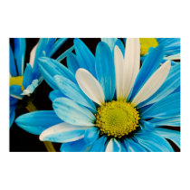 Blue Flowers Poster posters