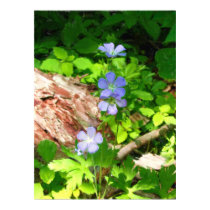 blue flowers poster posters