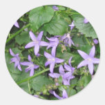 Blue flowers sticker