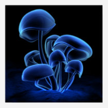 Blue Fluorescence (Square)