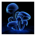 Blue Fluorescence (Square) posters