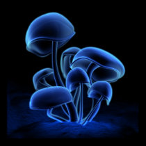 Blue Fluorescence (Square) posters