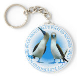 Blue Footed Boobies Key Chain