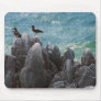 Blue-Footed Boobies Mouse Mat