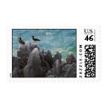 Blue Footed Boobies Postage Stamp
