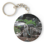 Blue-Footed Booby, Mating Key Chain