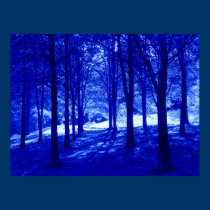 Blue Forest 2 Poster posters
