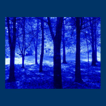 Blue Forest Poster posters