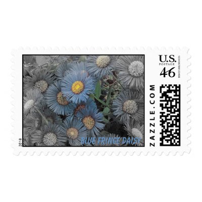 Blue Fringe Daisy Postage Stamp by macaw_mom