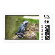 Blue Frog postage