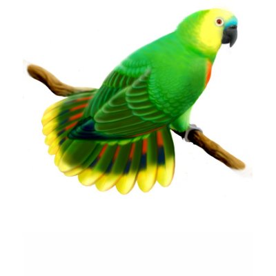 Blue Front Amazon Parrot Petite T-Shirt