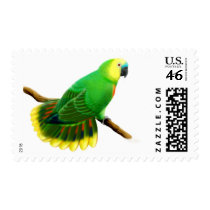 Blue Front Amazon Parrot Postage