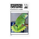 Blue-front displaying postage by GeorgeButel Blue-front displaying postage