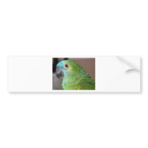 Blue Fronted Amazon Bumper Sticker