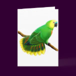 Blue Fronted Amazon Parrot Card