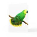 Blue Fronted Amazon Parrot Card by twopurringcats Blue Fronted Amazon Parrot Card