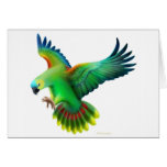 Blue Fronted Amazon Parrot Card
