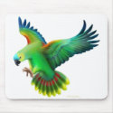 Blue Fronted Amazon Parrot Mousepad