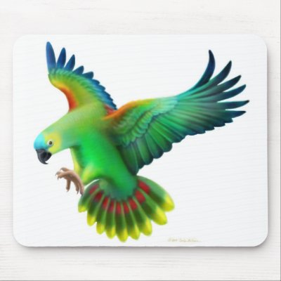 Blue Fronted Amazon Parrot Mousepad by twopurringcats