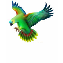 Blue Fronted Amazon Parrot Petite T-Shirt