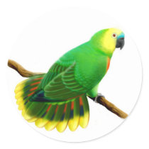 Blue Fronted Amazon Parrot Sticker