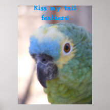 Blue Fronted Amazon Poster
