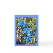 Blue Gentian Alpine Flower -- Greetings card card