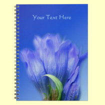 Blue Gentian Flower Nature Notebook notebooks