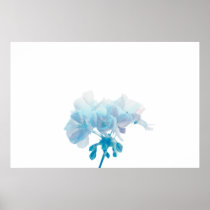 Blue Geranium Posters