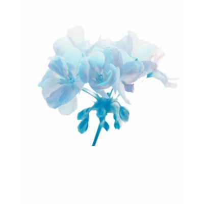 Blue Geranium Shirts by roimim