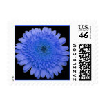 Blue Gerber Daisy Postage