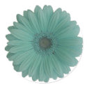 blue gerber daisy stickers