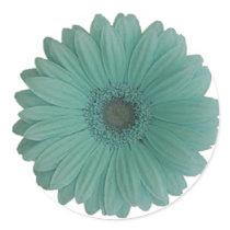 blue gerber daisy stickers by trish1968 blue gerber daisy stickers