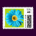 Blue Gerbera Daisy Postage Stamps