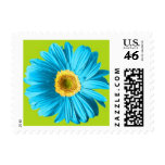 Blue Gerbera Daisy Postage Stamps