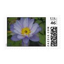 Blue Gigantea stamps