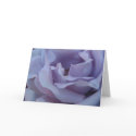 Blue girl rose sympathy card