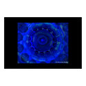 Blue Glass posters
