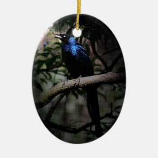 singing birds ornaments keepsake ornaments zazzle singing birds ornaments keepsake ornaments zazzle