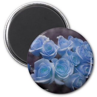 Blue glowing roses against a dark background magnet