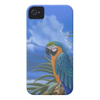Blue & Gold Macaw iPhone 4 Case-Mate Barely There