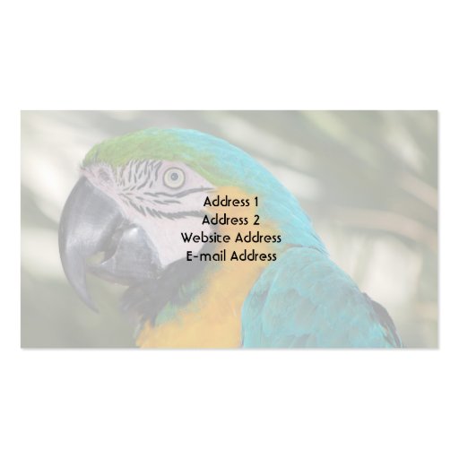 Blue & Gold Macaw Parrot Business Card (back side)