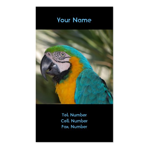 Blue & Gold Macaw Parrot Business Card (front side)