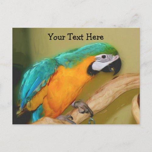 Blue Gold Macaw Parrot Customizable Postcard postcard