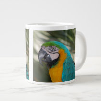 Blue & Gold Macaw Parrot Jumbo Mug