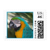Blue & Gold Macaw Parrot Postage