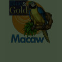 Blue & Gold Macaw T-Shirt shirt