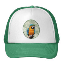 Blue & Gold Macaw with Jungle Background Hats