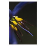 Blue & Gold Stationery Design