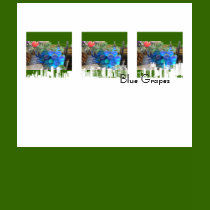 Blue grapes t-shirts by codfishlady Blue grapes t-shirts